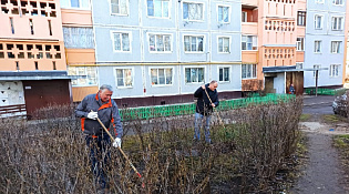 Наводить порядок на своих территориях является доброй традицией в ТОС города Костромы.